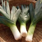 1000 Big Giant Leek Seeds Nongmo Heirloom A Fresh For Garden