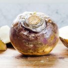 2000 American Purple Top Rutabaga Brassica Nap Nongmo Fresh For Garden