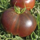 100 Black Krim Tomato Seeds Nongmo Heirloom Fresh For Garden