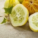 40 Lemon Cucumber Seeds Nongmo Heirloom A Fresh For Garden