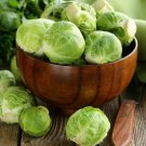 1000 Long Island Improved Brsels Sprouts Seeds Nongmo Heirloom A Fresh For Garden 1000 Long Island Improved Brsels Sprouts Seeds Nongmo Heirloom A Fresh For Garden