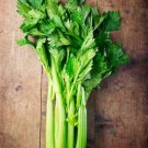 3000 Tall Utah Celery Seeds Nongmo A Fresh For Garden