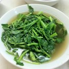 2000 True Watercress Seeds Nongmo Heirloom A Fresh For Garden