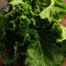 Seven Top Turnip Best Tasting Greens Sprouting Heirloom Cool Nongmo 250 Seeds Fresh For Garden Seven Top Turnip Best Tasting Greens Sprouting Heirloom Cool Nongmo 250 Seeds Fresh For Garden