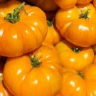 Tomato Brandywine Yellow Indeterminate Beefsteak Heirloom Nongmo 50 Seeds Fresh For Garden Tomato Brandywine Yellow Indeterminate Beefsteak Heirloom Nongmo 50 Seeds Fresh For Garden
