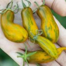 Tomato Saage Indeterminate Low Water Content Great For Canning Nongmo 50 Seeds Fresh For Garden Tomato Saage Indeterminate Low Water Content Great For Canning Nongmo 50 Seeds Fresh For Garden