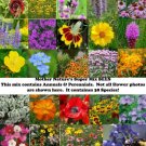 Landscapers Pack Super Mix Save The Bees Bulk Wild Flowers Nongmo 3000 Seeds Fresh For Garden Landscapers Pack Super Mix Save The Bees Bulk Wild Flowers Nongmo 3000 Seeds Fresh For Garden