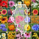 Wildflower Illinois State Flower Mix Perennials & Annuals A Nongmo 1000 Seeds Fresh For Garden Wildflower Illinois State Flower Mix Perennials & Annuals A Nongmo 1000 Seeds Fresh For Garden