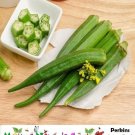 Okra Perkins Long Pod Heirloom Large High Yields Pickling Gumbo Nongmo 50 Seeds Fresh For Garden Okra Perkins Long Pod Heirloom Large High Yields Pickling Gumbo Nongmo 50 Seeds Fresh For Garden