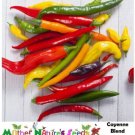 Hot Peppers Cayenne Fiesta Blend 30000 Seeds Scovilles Capiscum Nongmo 90 Seeds Fresh For Garden