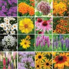 Wildflower Mix Northeast All Perennial Heirloom A 16 Species Nongmo 1000 Seeds Fresh For Garden