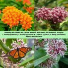 Milkweed Mix Deluxe Perennials Monarch Butterfly Host Plant Nongmo 100 Seeds Fresh For Garden