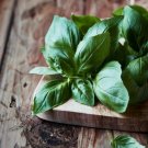Herb Italian Large Leaf Basil Basilicum Container Gardening Nongmo 500 Seeds Fresh For Garden Herb Italian Large Leaf Basil Basilicum Container Gardening Nongmo 500 Seeds Fresh For Garden