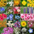 Wildflower Mix Coastal California 25 Species Regional Flowers Nongmo 1000 Seeds Fresh For Garden