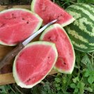 25 Seeds Crimson Sweet Watermelon For Gardens Non Gmo Fresh For Garden