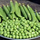 25 Seeds Alaska Pea Seeds Non Gmo For Your Vegetable Gardens Fresh For Garden