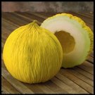 50 Golden Beauty Casaba Melon Seeds Nongmo Fresh For Garden