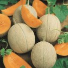 50 Hearts Of Gold Melon Seeds Nongmo Fresh For Garden