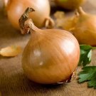 300 Texas Early Grano Seeds Nongmo For Gardens Fresh For Garden