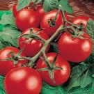 Moneymaker Heirloom Tomato 50 Seeds Seeds For Your Garden Fresh For Garden