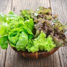 Mesclun Mix Leaf Lettuce 800 Seeds For Gardens Fresh For Garden