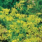 Bouquet Dill 300 Seeds Nongmo For Gardens Fresh For Garden