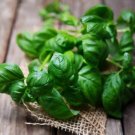 Sweet Basil 300 Seeds Nongmo For Gardens Fresh For Garden