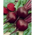 750 Seeds Detroit Red Beet Seeds For Gardens Fresh For Garden