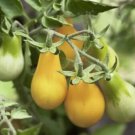 Yellow Pear Tomato Seeds Nongmo Heirloom Tomato Bulk Seed Fresh For Garden