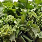 300 Early Fall Rapinbroccolseeds Nongmo Heirloom Broccolseeds Fresh For Garden