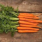 500 Scarlet Nantes Carrot Seeds Nongmo Heirloom Carrot Seeds Fresh For Garden