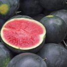 50 Black Diamond Watermelon Seeds Late Season Bruise Resistant Watermelon Fresh For Garden