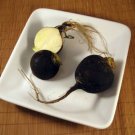 500 Black Spanish Round Radish Nongmo Heirloom Radish Cold Weather Tolerant Fresh For Garden 500 Black Spanish Round Radish Nongmo Heirloom Radish Cold Weather Tolerant Fresh For Garden
