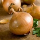 1000 Texas Early Grano Onion Seed Heirloom Nongmo Onion Seeds Fast Growing Fresh For Garden