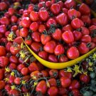 Sweetheart Cherry Tomato Seeds Sweet Heart Snacking Prolific Indeterminate Fresh For Garden Sweetheart Cherry Tomato Seeds Sweet Heart Snacking Prolific Indeterminate Fresh For Garden
