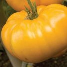 Yellow Orange Heirloom Brandywine Tomato Seeds Indeterminate Potato Leaf Fresh For Garden