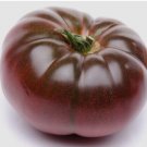 Cherokee Purple Heirloom Tomato Seeds Indeterminate Garden Tomatoes Fresh For Garden Cherokee Purple Heirloom Tomato Seeds Indeterminate Garden Tomatoes Fresh For Garden
