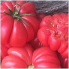 15 Mhroom Basket Heirloom Tomato Seeds Nongmo Indeterminate Huge 30 Oz Fruit Fresh For Garden