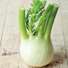Florence Fennel Heirloom Garden Finnochio Nongmo 25 Seeds Healthy Medicinal Fresh For Garden