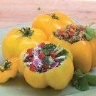 Yellow Stuffer Tomato 20 Seeds Seeds Slimeless Openpollinated Garden Vegetables Fresh For Garden Yellow Stuffer Tomato 20 Seeds Seeds Slimeless Openpollinated Garden Vegetables Fresh For Garden