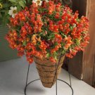 1000 Seeds Candy Showers Orange Snapdragon Seeds For Garden Fresh For Garden