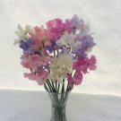 50 Seeds Summer Romance Sweet Pea Seeds For Garden Planting Fresh For Garden