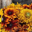 200 Seeds Dwarf Rtic Mix Rudbeckia Seeds For Garden Planting Fresh For Garden 200 Seeds Dwarf Rtic Mix Rudbeckia Seeds For Garden Planting Fresh For Garden