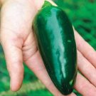 25 Seeds Green Giant Jalapeno Pepper Seeds For Garden Planting Fresh For Garden
