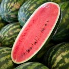 50 Seeds Congo Watermelon Seeds For Garden Planting Fresh For Garden 50 Seeds Congo Watermelon Seeds For Garden Planting Fresh For Garden