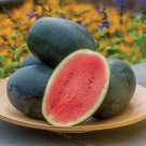 50 Seeds Little Darling Watermelon Seeds For Garden Planting Fresh For Garden