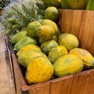 25 Seeds Samba Papaya Seeds For Garden Planting Fresh For Garden