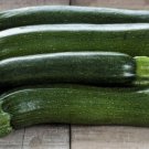 25 Seeds Spineless Perfection Zucchinsquash Seeds Planting Fresh For Garden