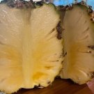 15 Seeds Sugarloaf Pineapple Seeds For Garden Planting Fresh For Garden