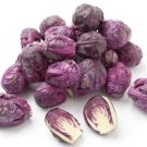 500 Seeds Redarling Brsels Sprouts Seeds For Garden Planting Fresh For Garden